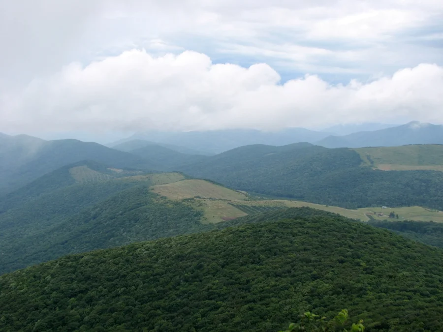 Elk Knob State Park (North Carolina)