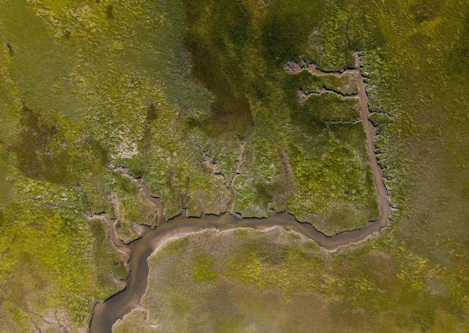 Ellisville Harbor State Park (Massachusetts)