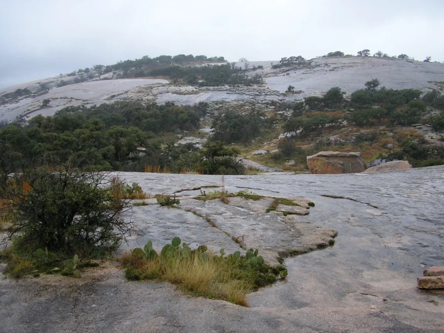 Enchanted Rock State Natural Area 28 Granite slopes of Enchanted Rock with scattered oaks, Enchanted Rock State Natural Area, Texas