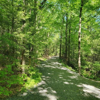 Enders State Forest