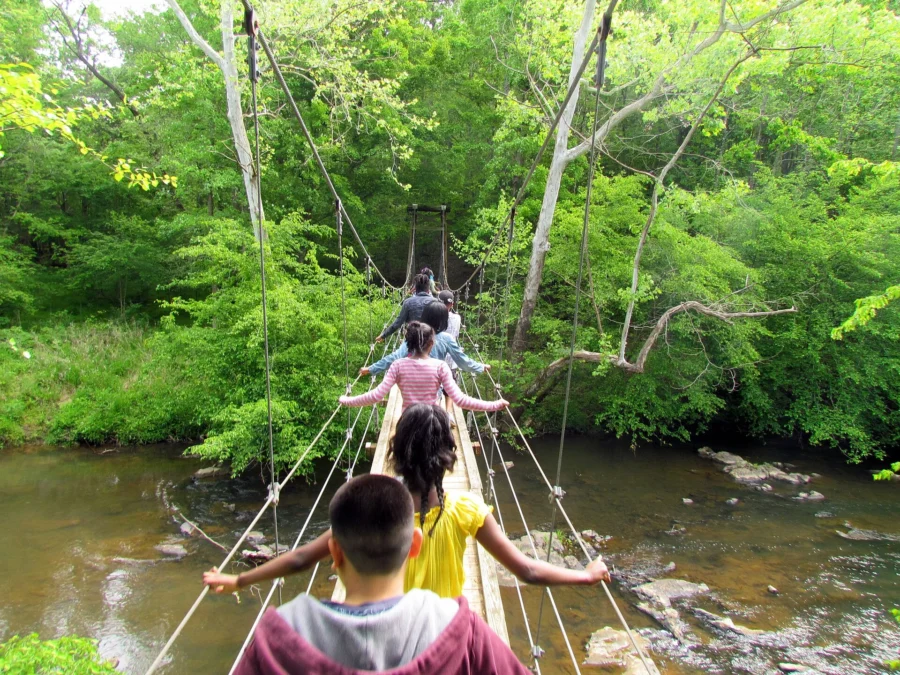 Eno River State Park 2 Eno River State Park (North Carolina)