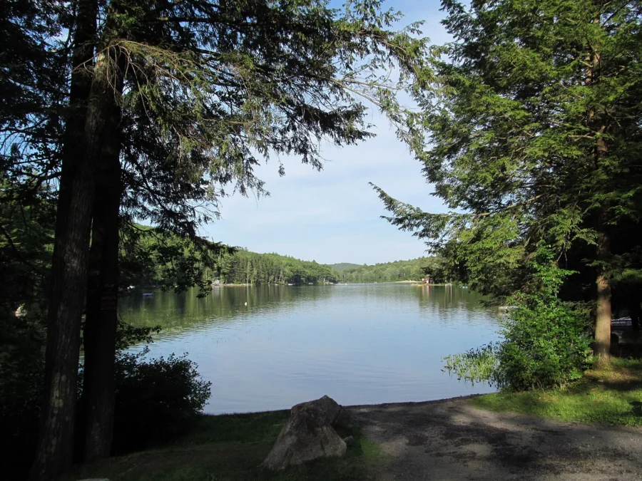 Erving State Forest (Massachusetts)