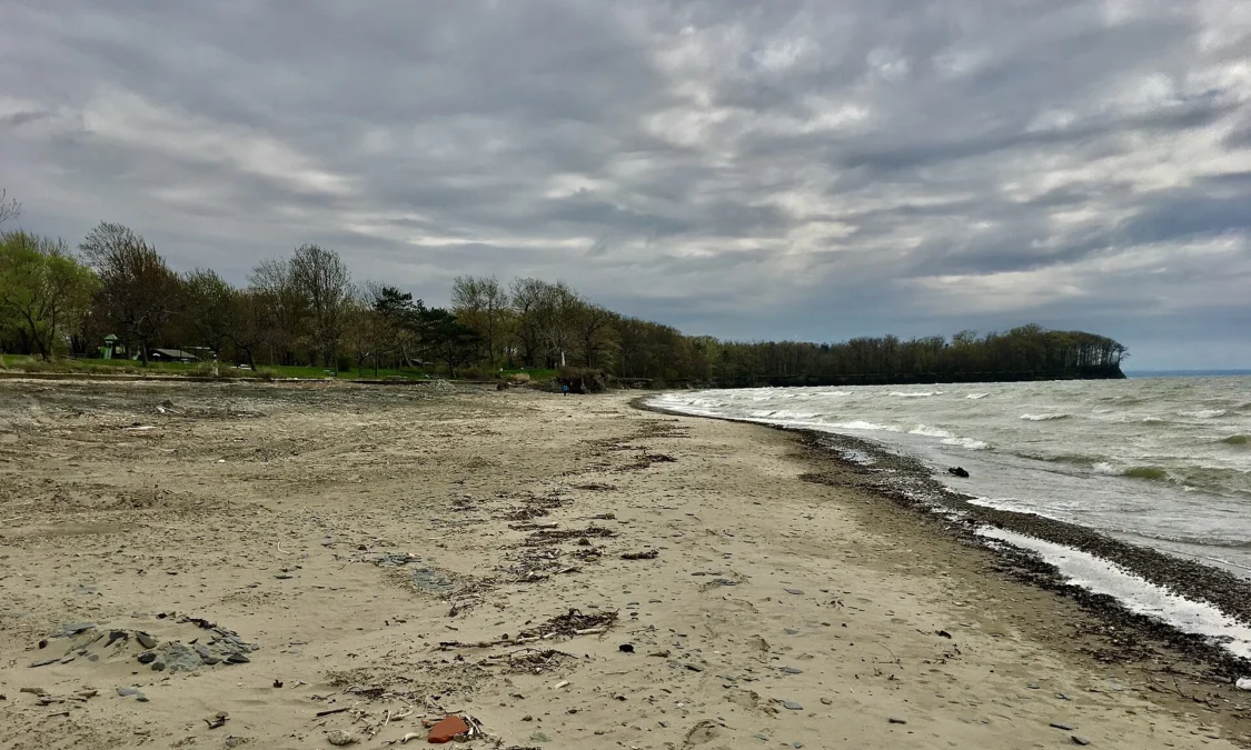 Evangola State Park (New York)
