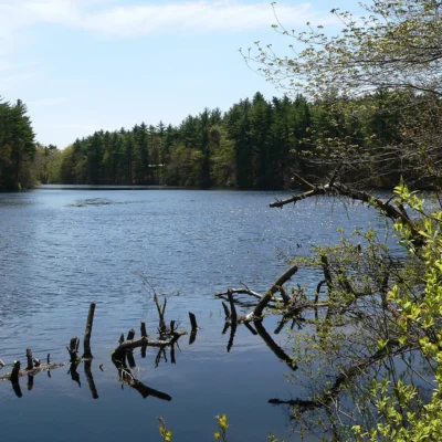 F. Gilbert Hills State Forest