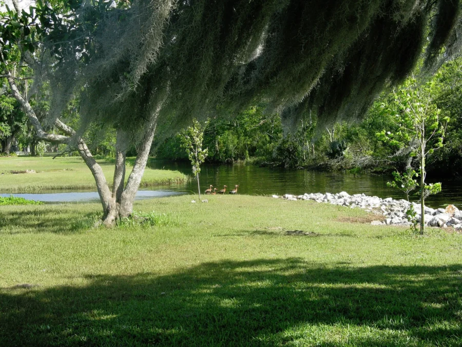 Fairview-Riverside State Park 8 Fairview-Riverside State Park (Louisiana)