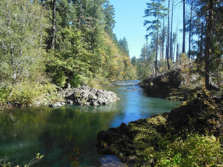 Fall Creek State Recreation Site (Oregon)