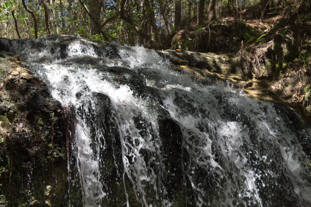 Falling Waters State Park 32 The waterfall dropping into a sinkhole at Falling Waters State Park, Florida