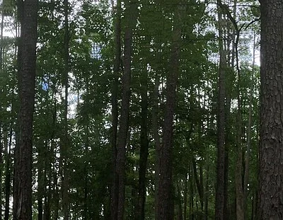 Falls Lake State Recreation Area