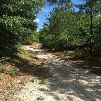 False Cape State Park