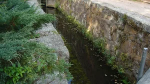 Farmington Canal State Park Trail
