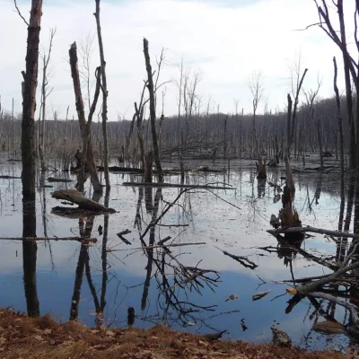 Farny State Park