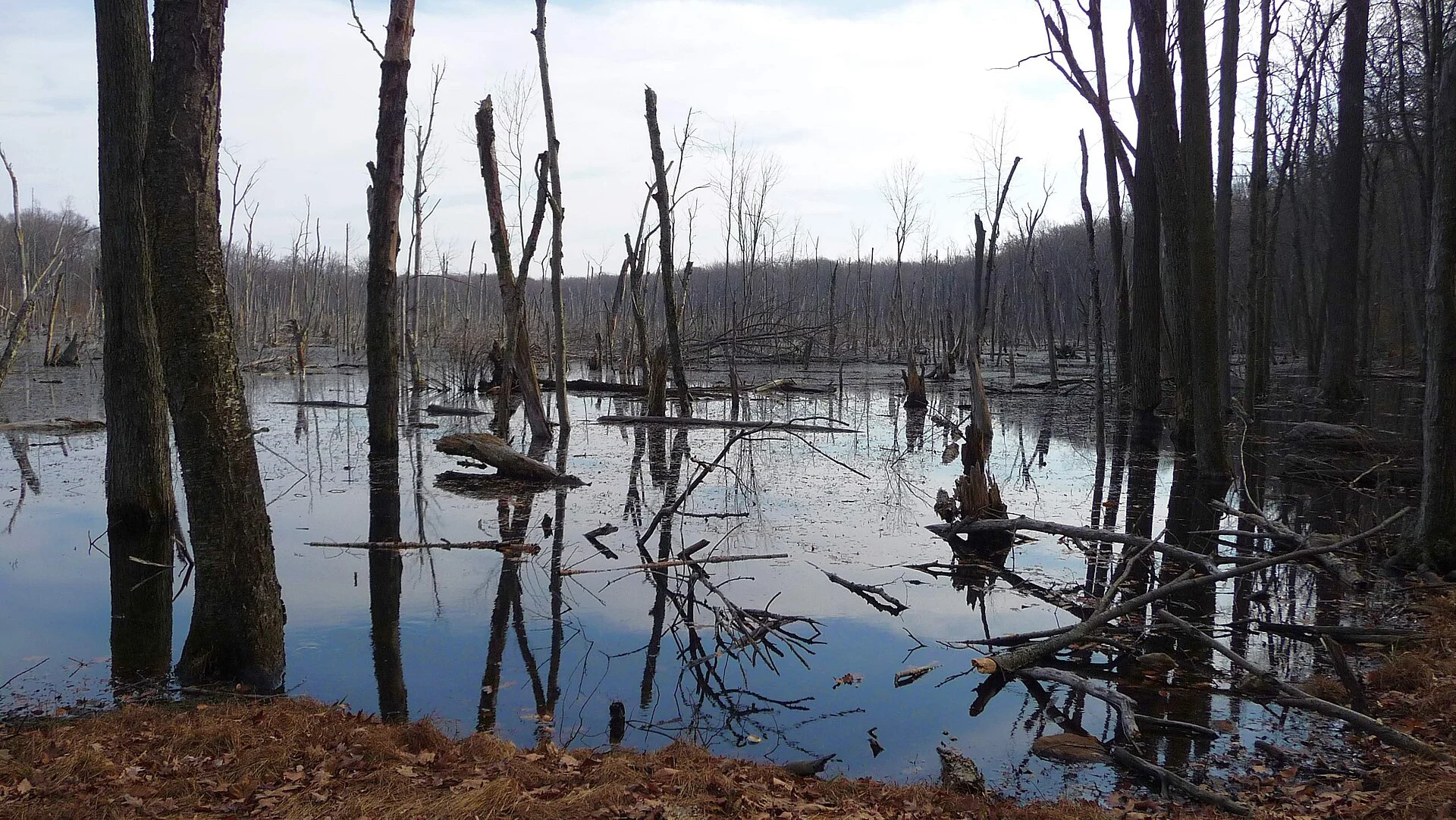 Farny State Park