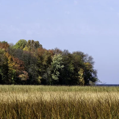 Father Hennepin State Park