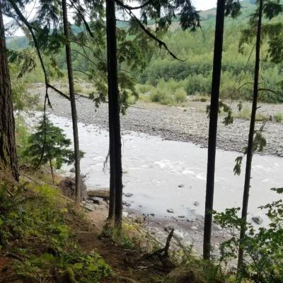 Federation Forest State Park