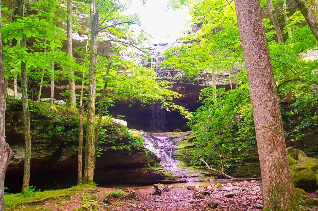 Ferne Clyffe State Park (Illinois)