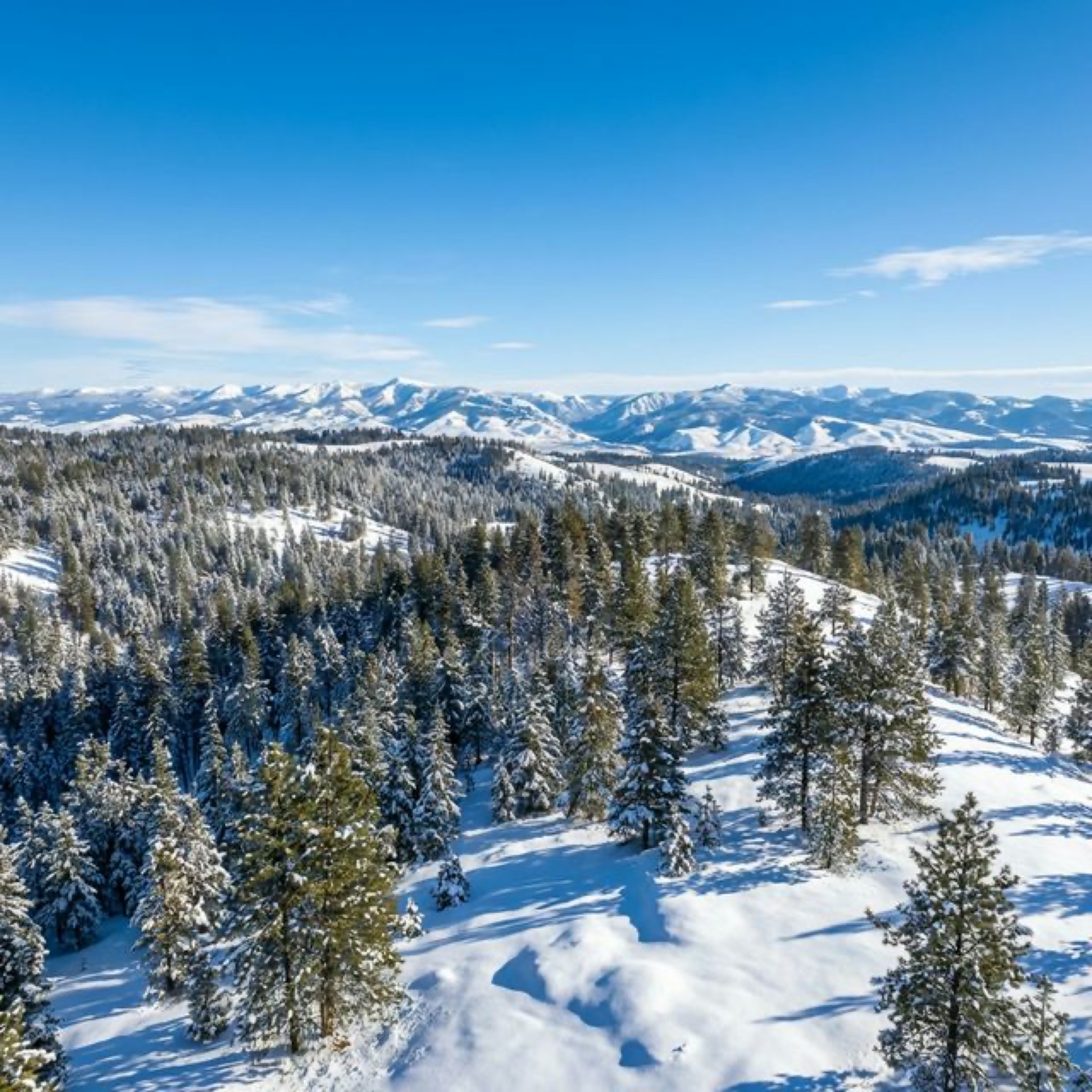 Field Springs State Park