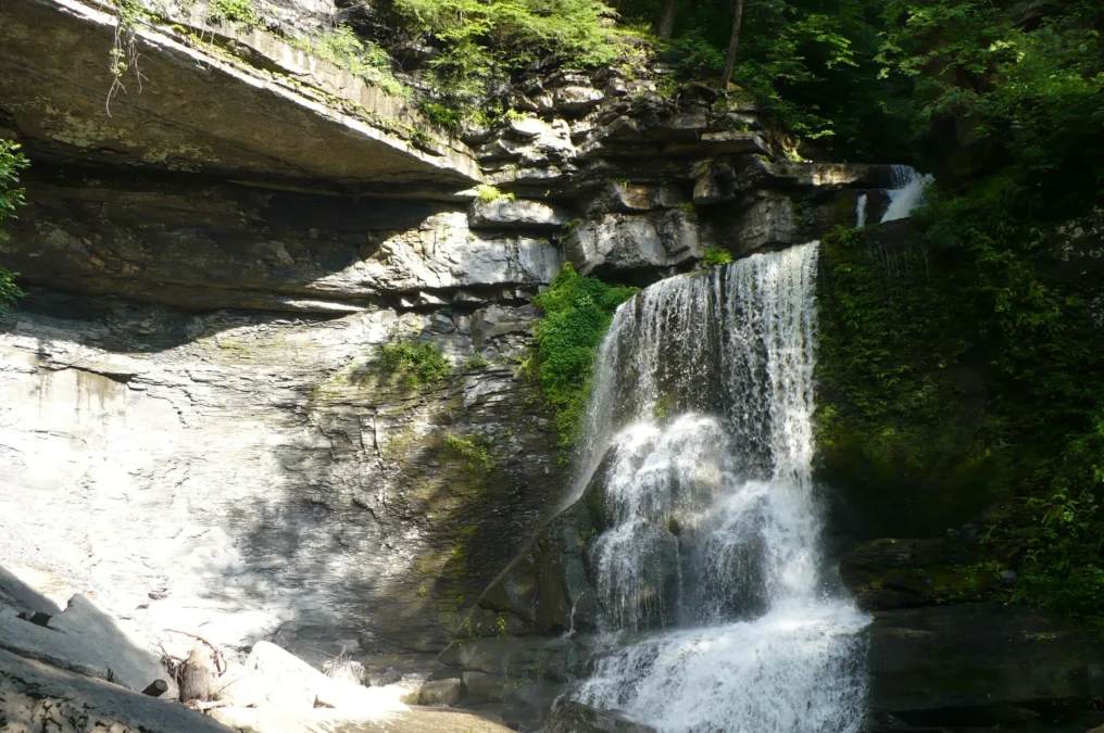 Fillmore Glen State Park 8 Fillmore Glen State Park (New York)