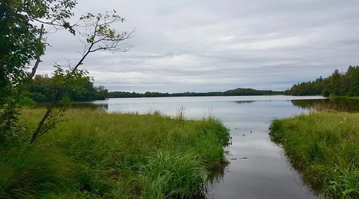 Finger Lake State Recreation Area (Alaska)