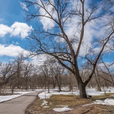 Flandrau State Park