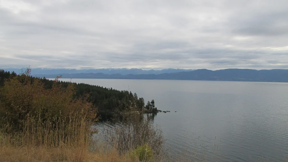 Flathead Lake State Park 8 Wooded point reaching into Flathead Lake under an overcast sky, Flathead Lake State Park, Montana