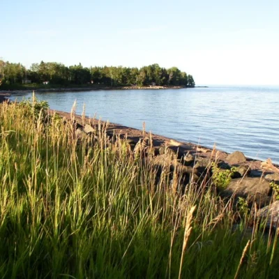 Flood Bay State Wayside