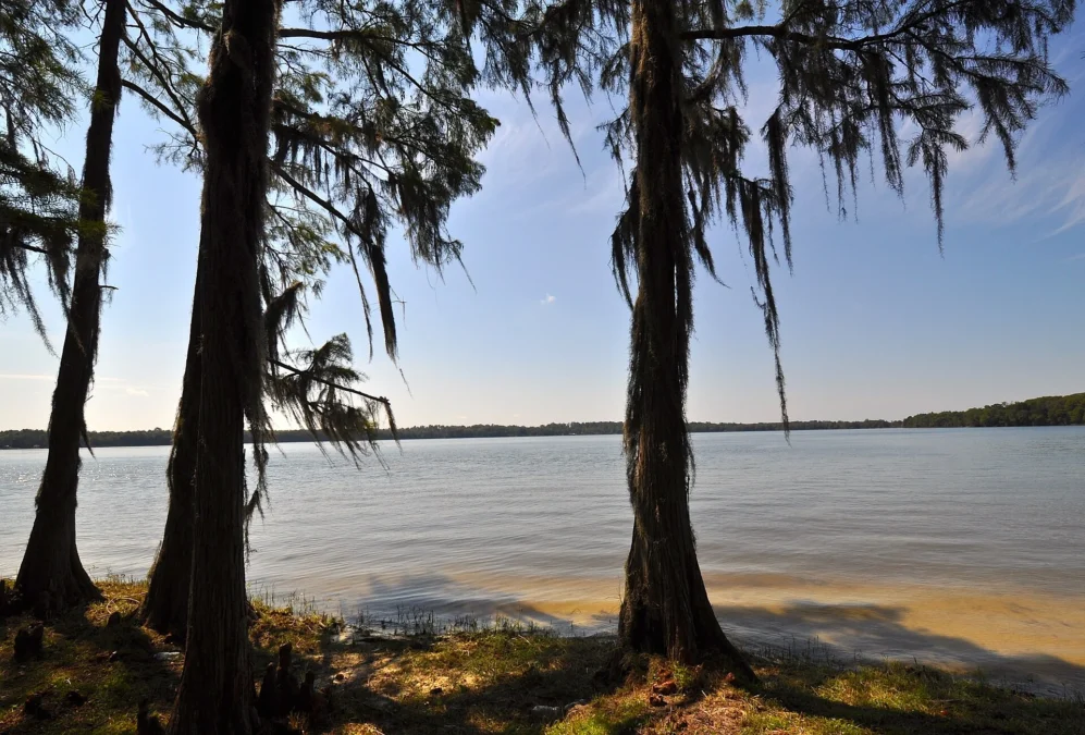 Florala State Park (Alabama)