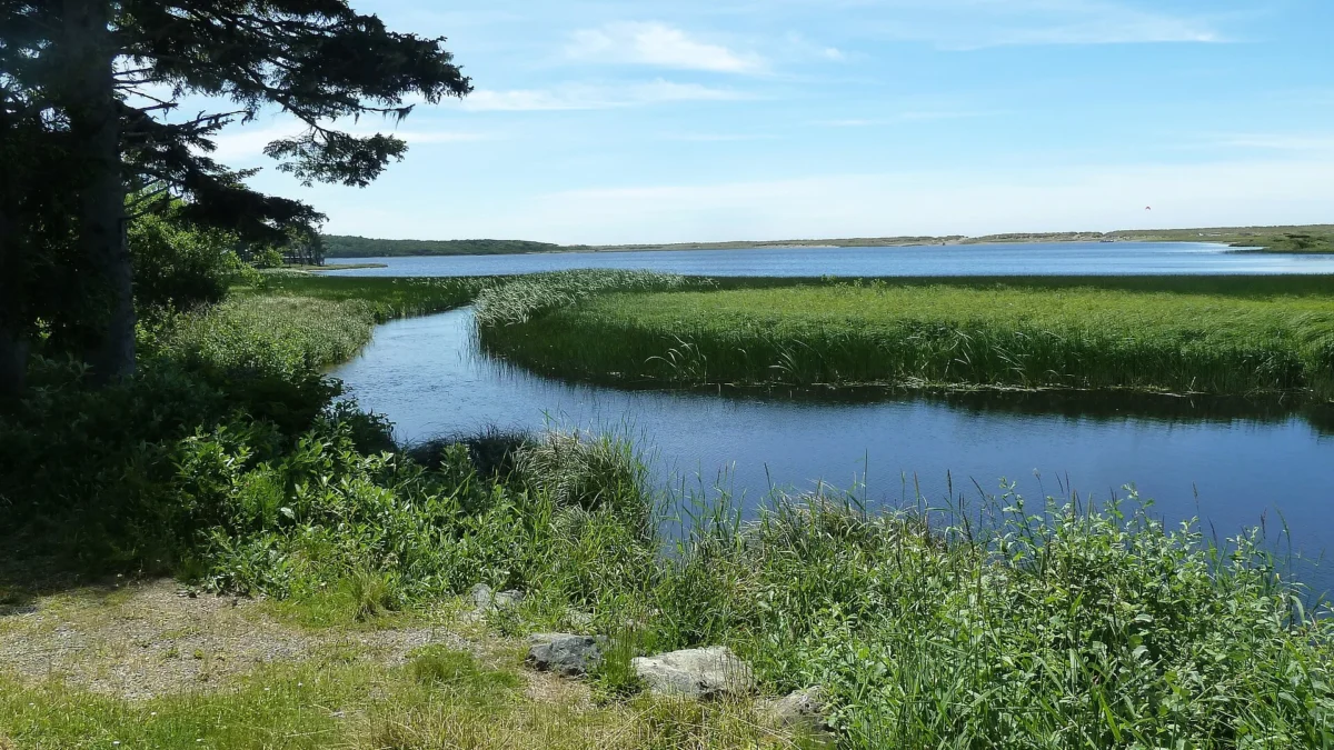 Floras Lake State Natural Area (Oregon)