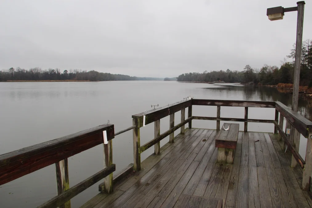 Florence Marina State Park (Georgia)
