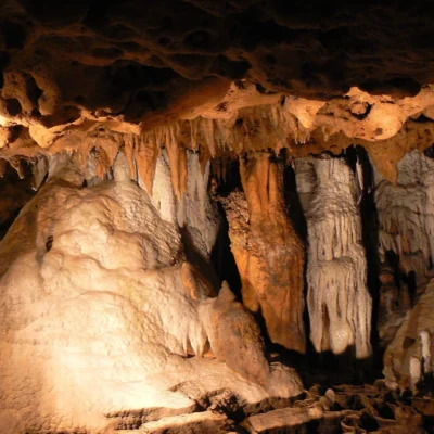 Florida Caverns State Park
