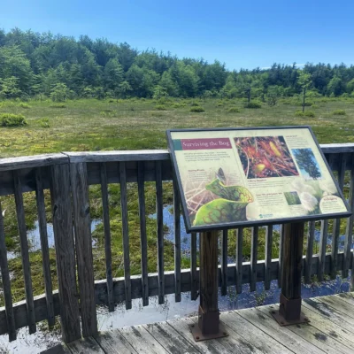 Forbes State Forest