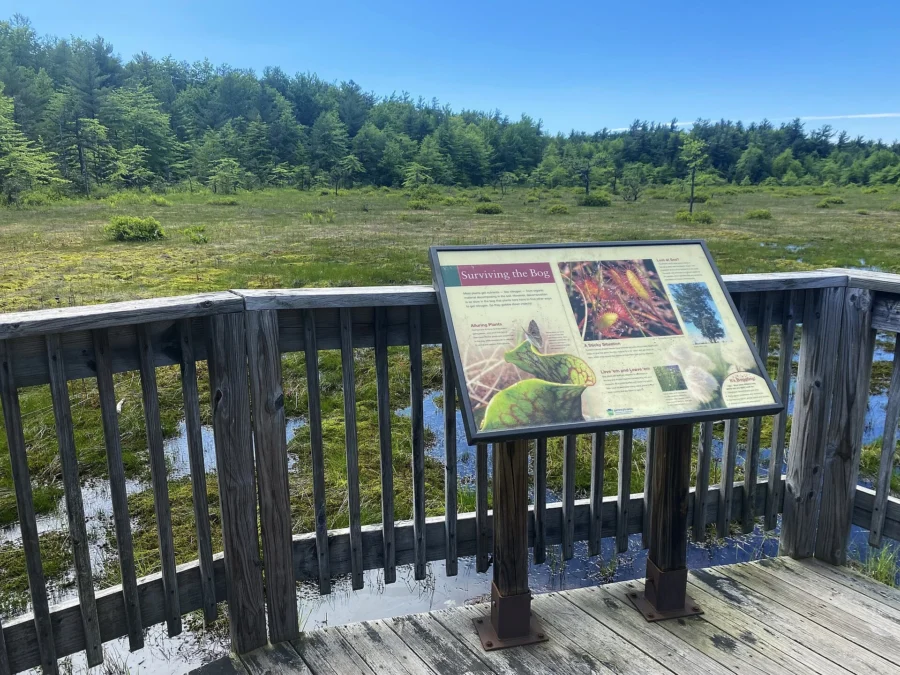 Forbes State Forest (Pennsylvania)