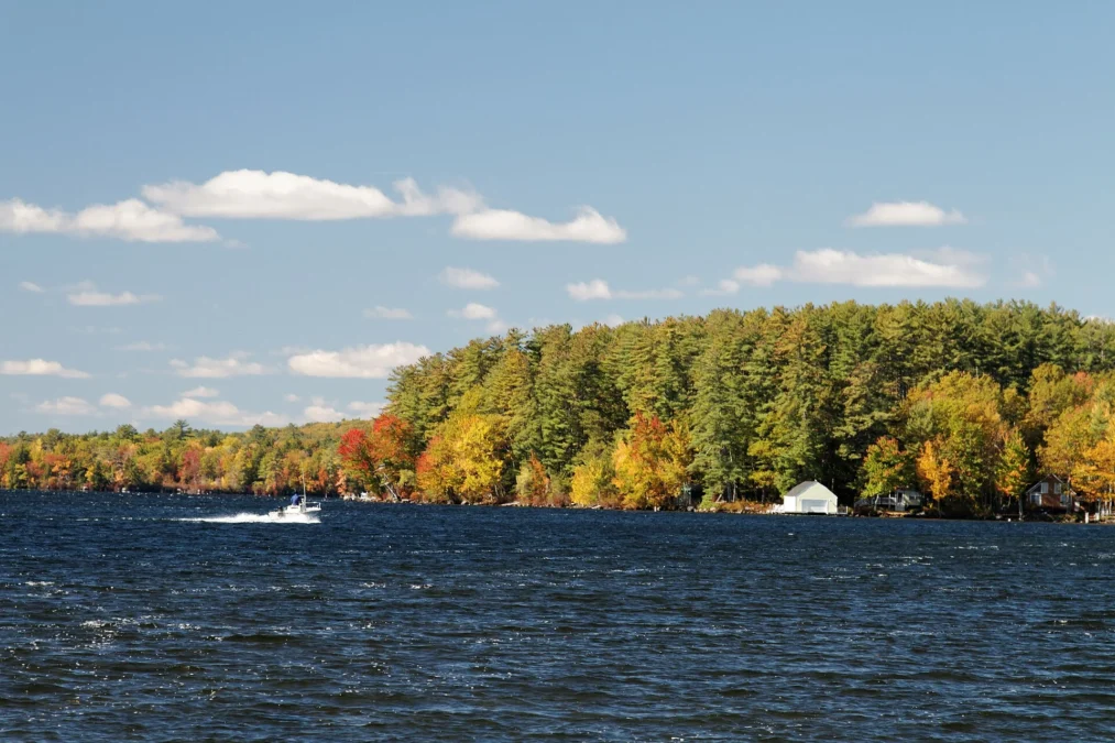 Forest Lake State Park (New Hampshire)