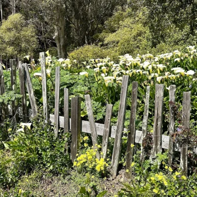 Fort Ross State Historic Park