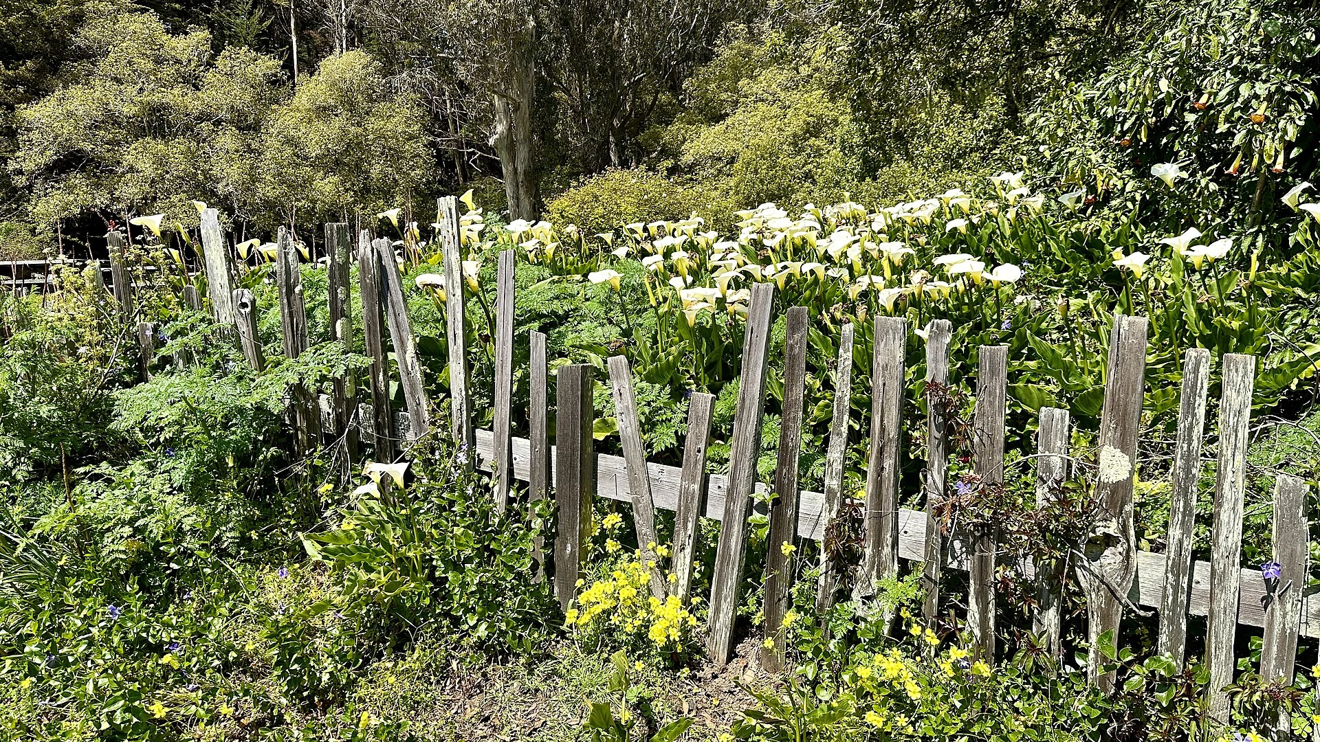 Fort Ross State Historic Park