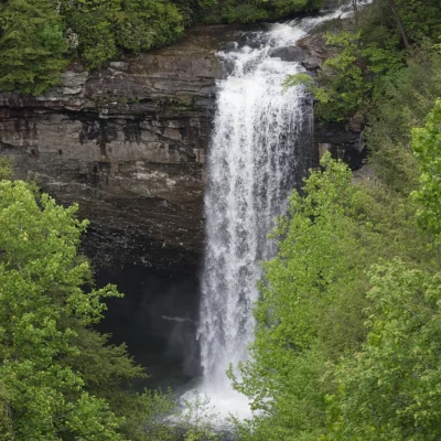 Foster Falls Small Wild Area