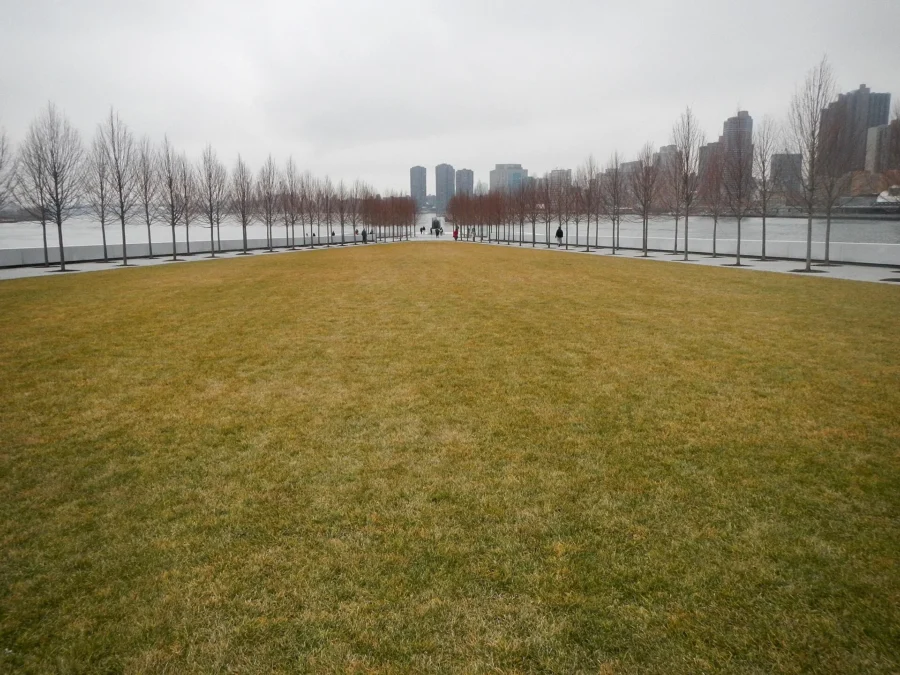 Franklin D. Roosevelt Four Freedoms State Park 39 Lawn and tree allées of Franklin D. Roosevelt Four Freedoms State Park on Roosevelt Island, New York