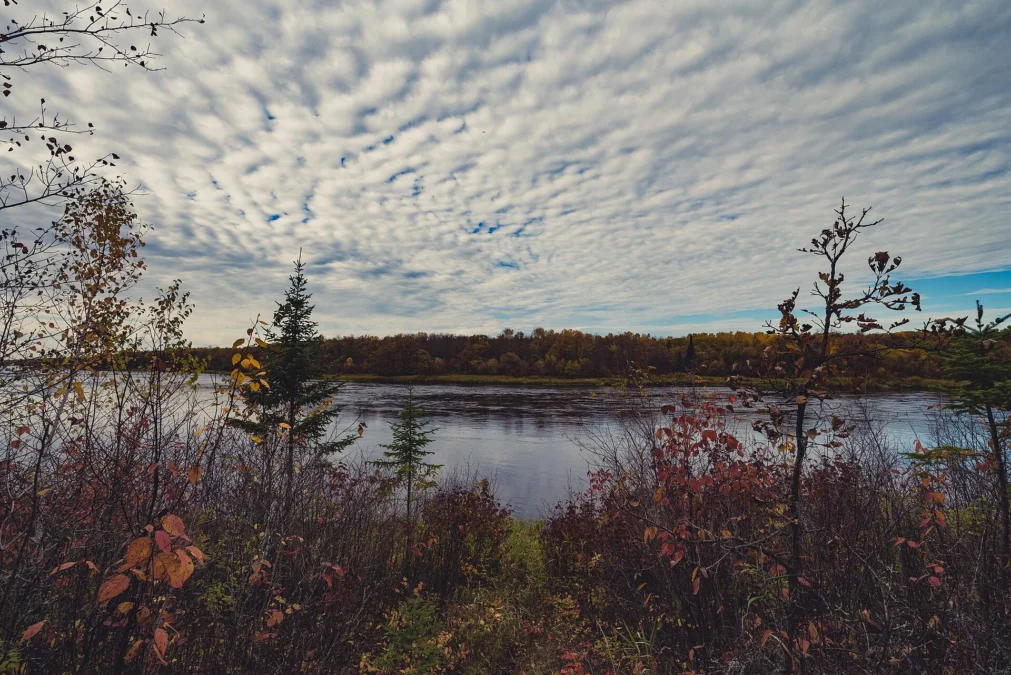 Franz Jevne State Park 21 Franz Jevne State Park (Minnesota)