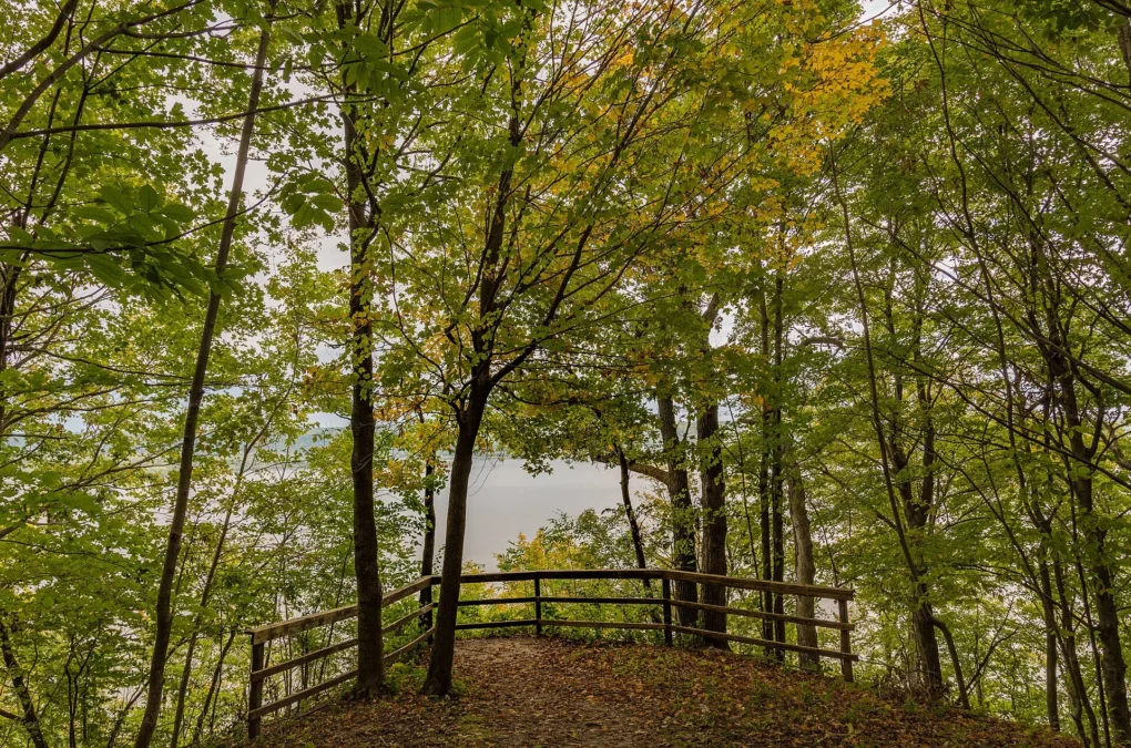 Mississippi River overlook in early fall at Frontenac State Park, Minnesota