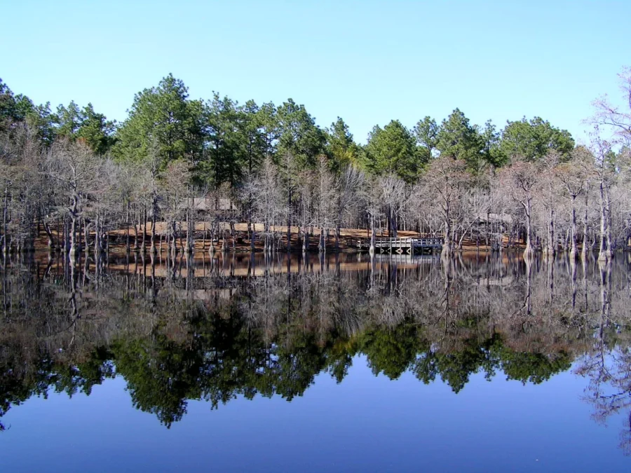 George L. Smith State Park (Georgia)