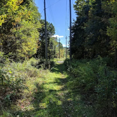 Georgetown-Rowley State Forest