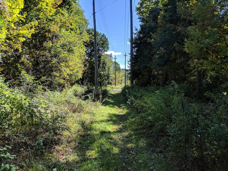 Georgetown-Rowley State Forest (Massachusetts)