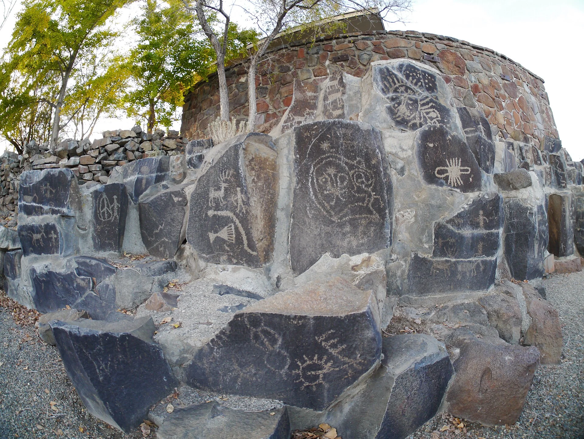 Ginkgo Petrified Forest State Park