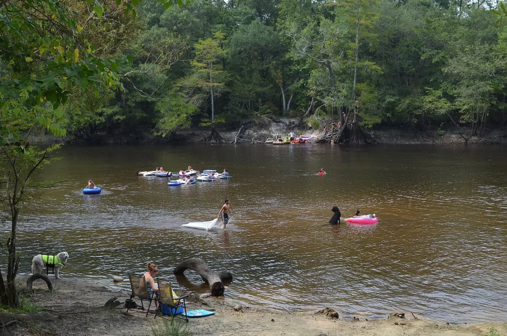 Givhans Ferry State Park (South Carolina)