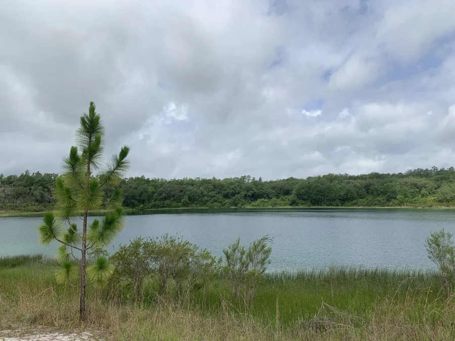 Gold Head Branch State Park (Florida)