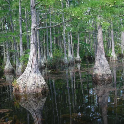 Goodale State Park