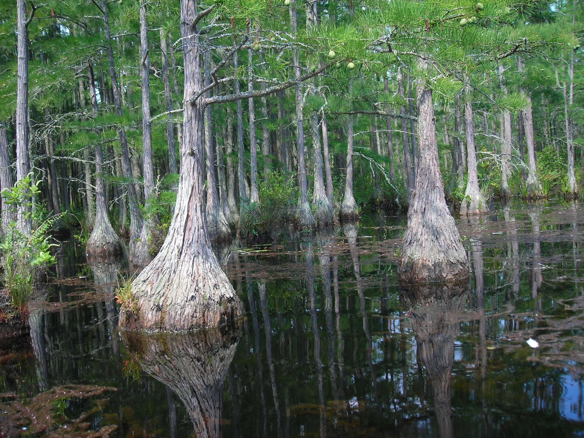 Goodale State Park