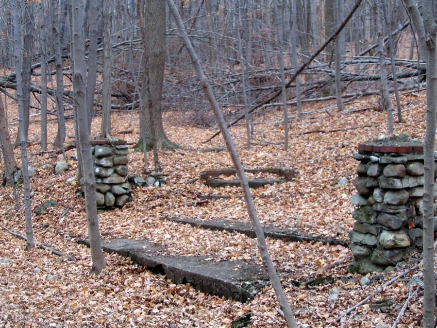 Goosepond Mountain State Park (New York)