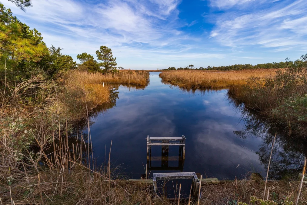 Gordons Pond Trail (Delaware)