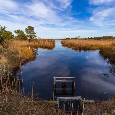 Gordons Pond Trail