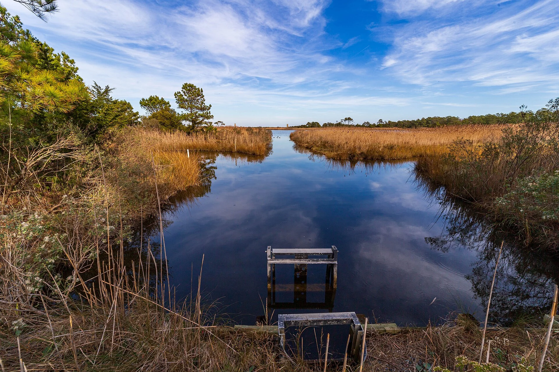 Gordons Pond Trail